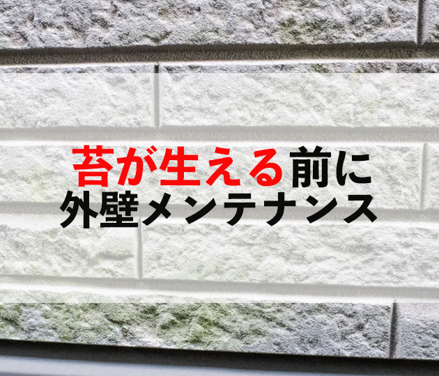 苔