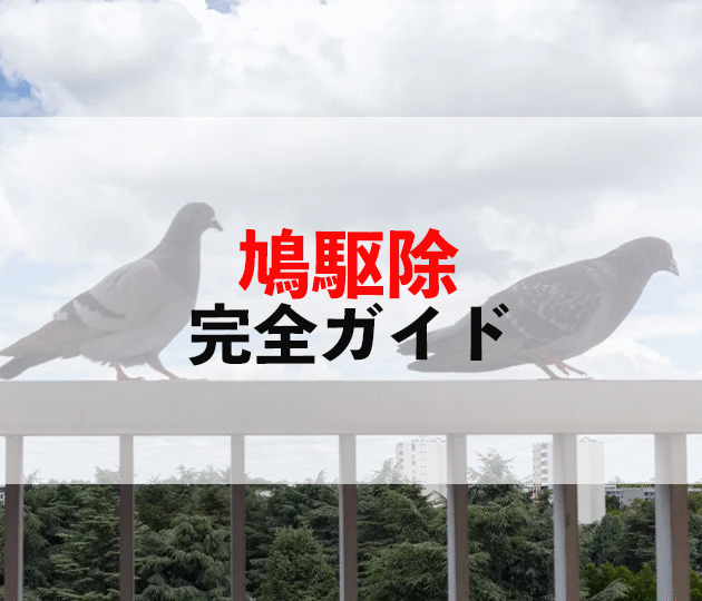 佐賀市　外壁塗装