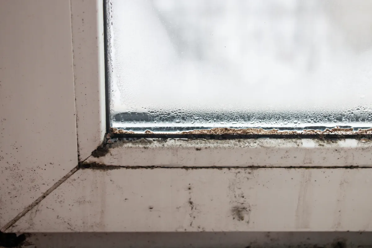 鳥栖市 外壁塗装