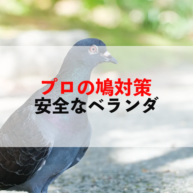 佐賀市　外壁塗装
