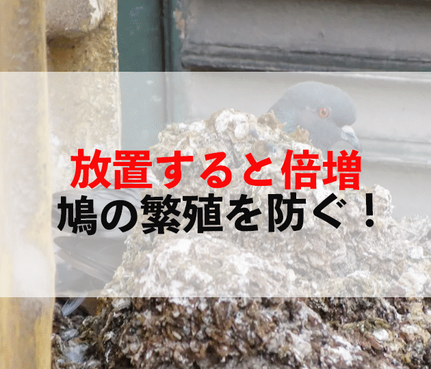 佐賀市　外壁塗装
