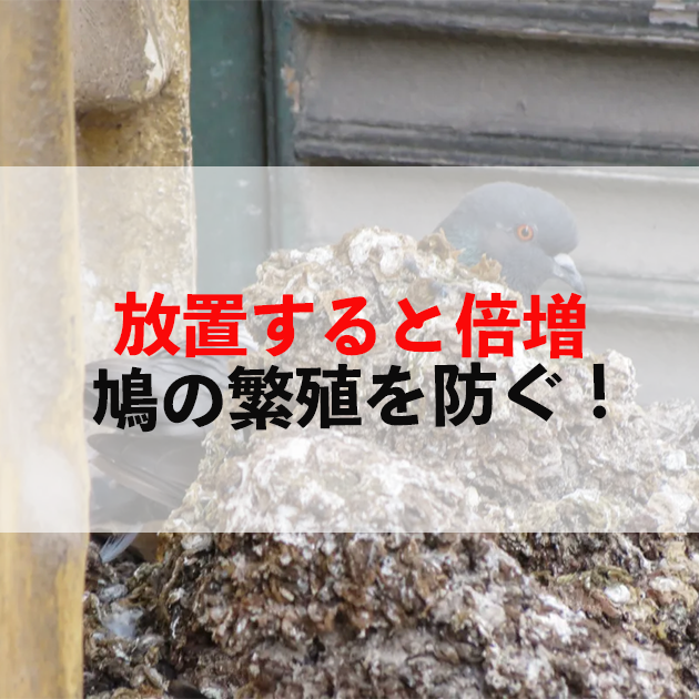 佐賀市　外壁塗装
