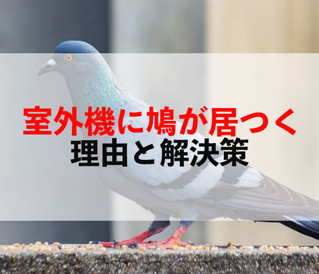 佐賀市　外壁塗装
