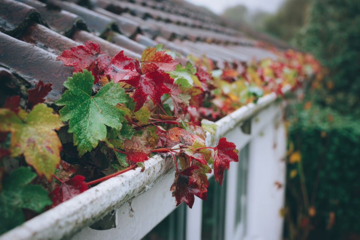 鳥栖市 外壁塗装