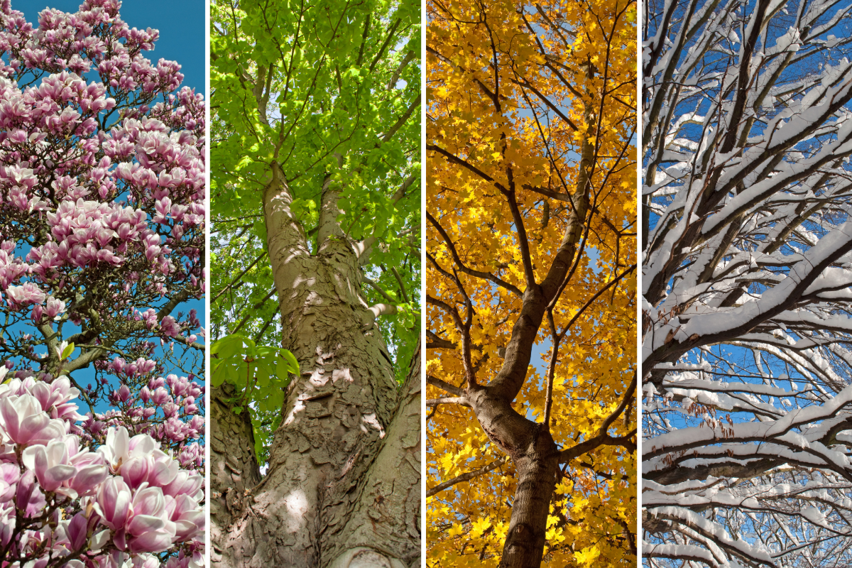 佐賀市 外壁塗装