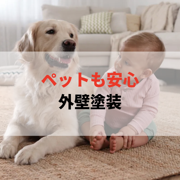 佐賀市　外壁塗装