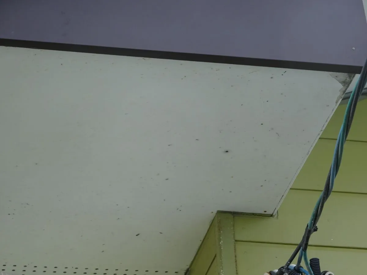 佐賀市　外壁塗装　屋根塗装　塗るばい　サニー建設商事　木原　2022年8月10日　軒下天井　塗膜の剥がれ