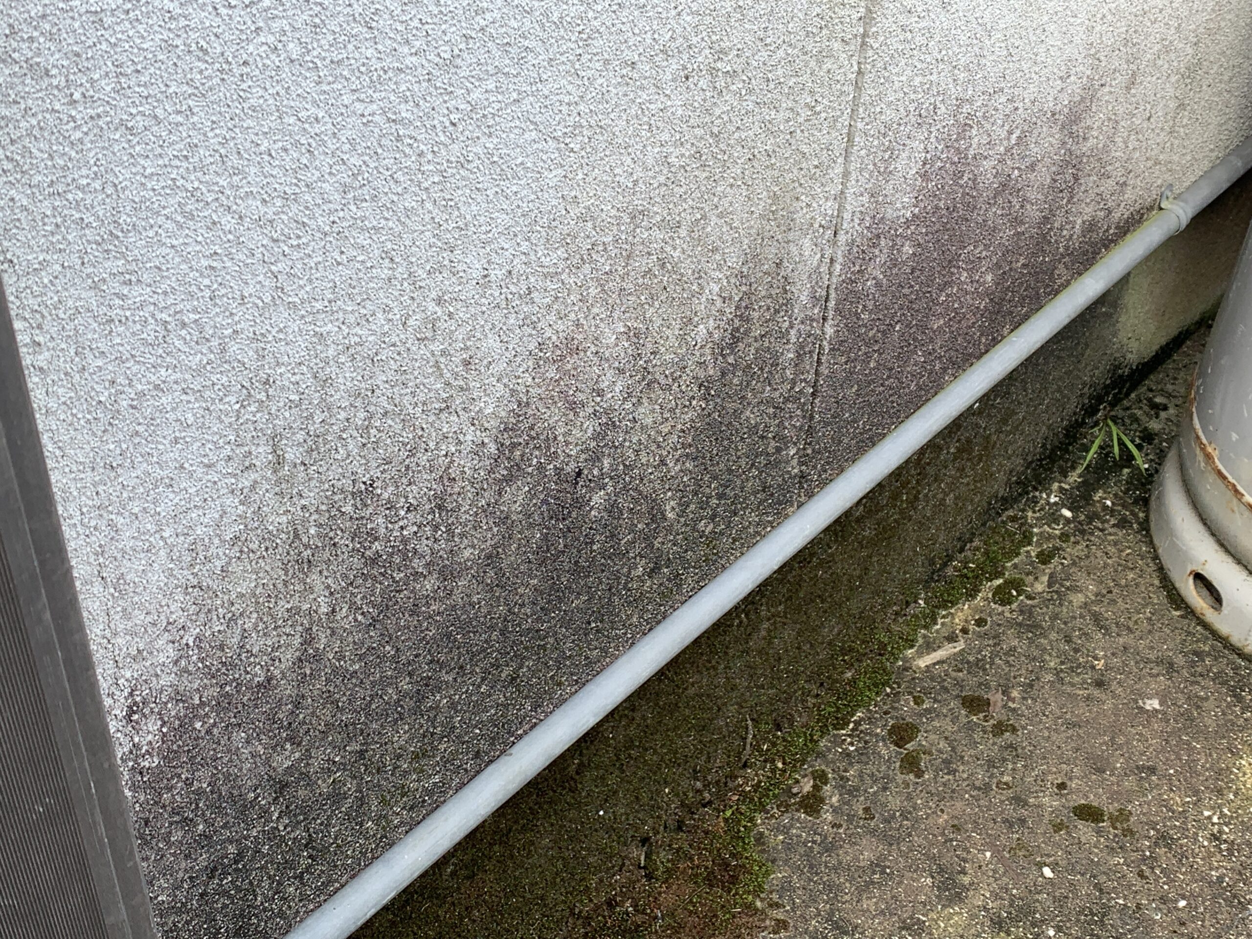 外壁塗装　佐賀市　外壁　コーキング　苔　汚れ